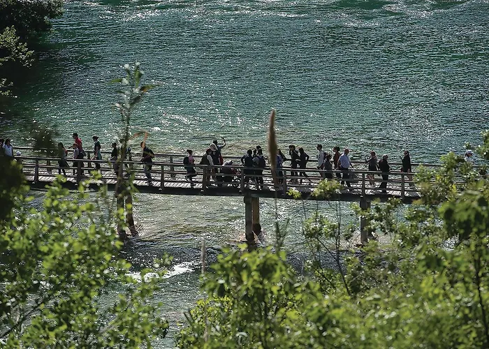 Beautiful In Appartement